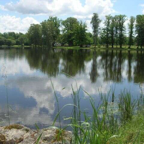 Sentier des étangs et promenade des pêcheurs