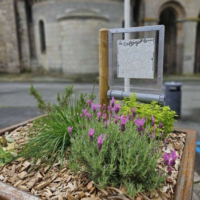 Jeu de piste en famille à Saint-Léonard de Noblat