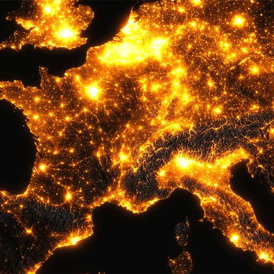 Scandale Lumineux chez les Insectes