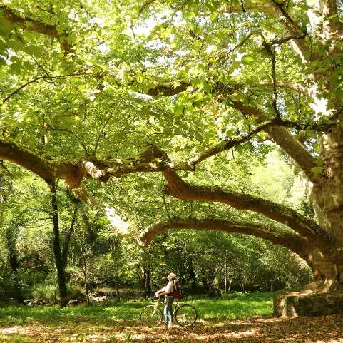 Circuit à vélo de Rochechouart au site de Peyrassoulat