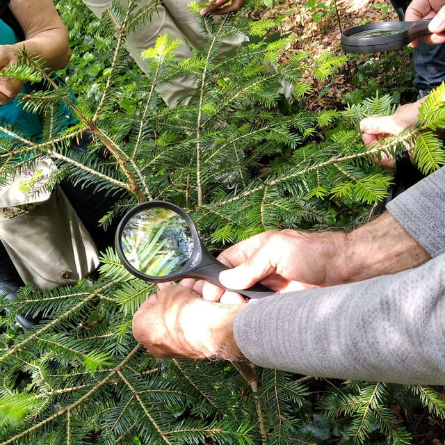 Détective en herbe, Île de Vassivière
