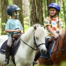 Stages d'été à poney avec Les Paladins de Saint-Agnan