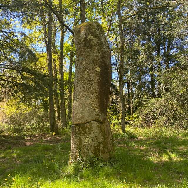 Le sentier de la perrière