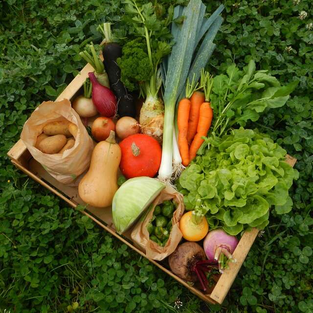 Les Légumes de Rémi