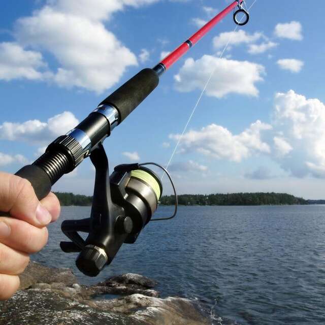 Vente de cartes de pêche