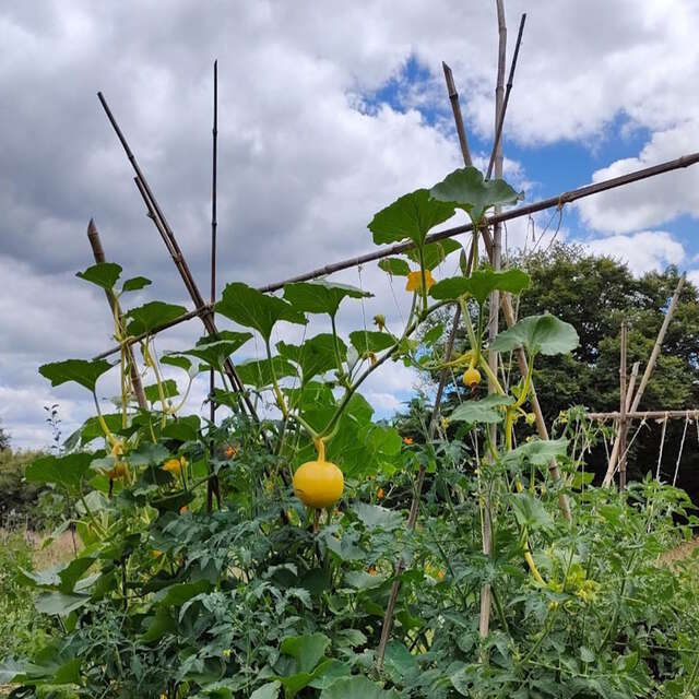 Initiez-vous à la permaculture à St-Laurent-les-Eglises - Août