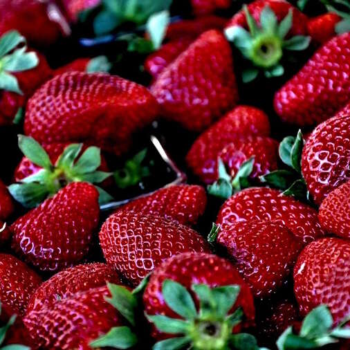 Marché à Saint-Pardoux-Le-Lac