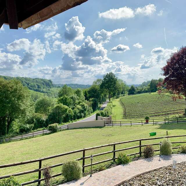 Le Domaine des Déserts - Vignoble en Normandie