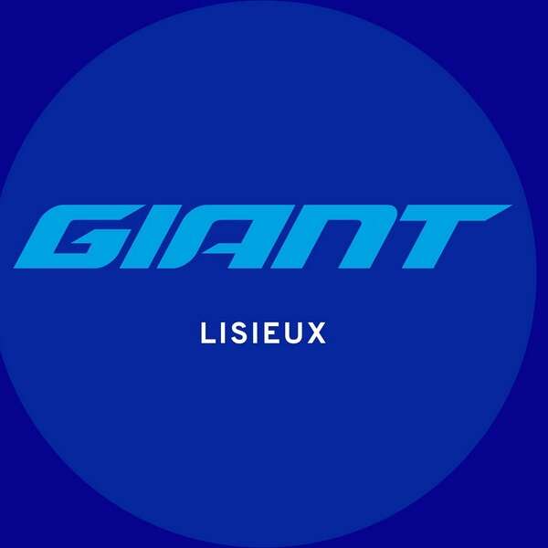 Giant - Réparateur de vélos