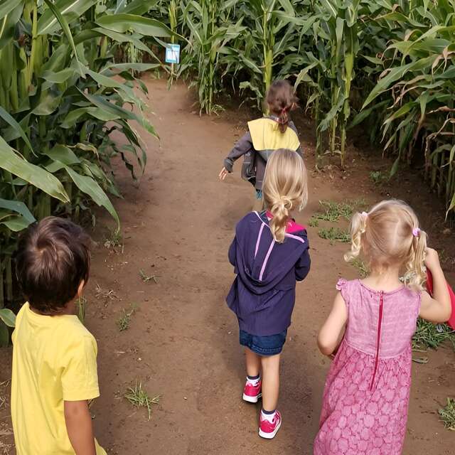 Labyrinthe de Honfleur
