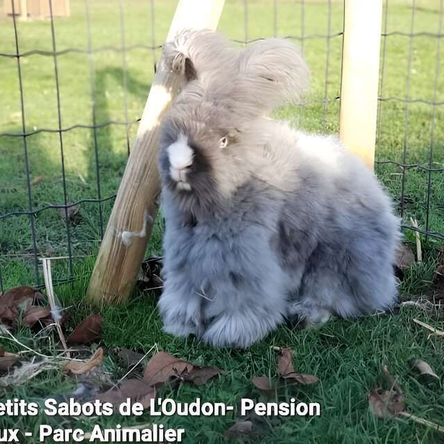 Ferme pédagogique les Petits Sabots de l'Oudon