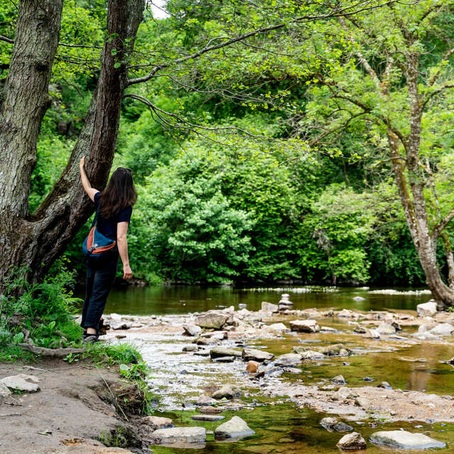 Plage de Trégrom en vallée du Léguer