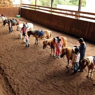 Poney Club du Moulin