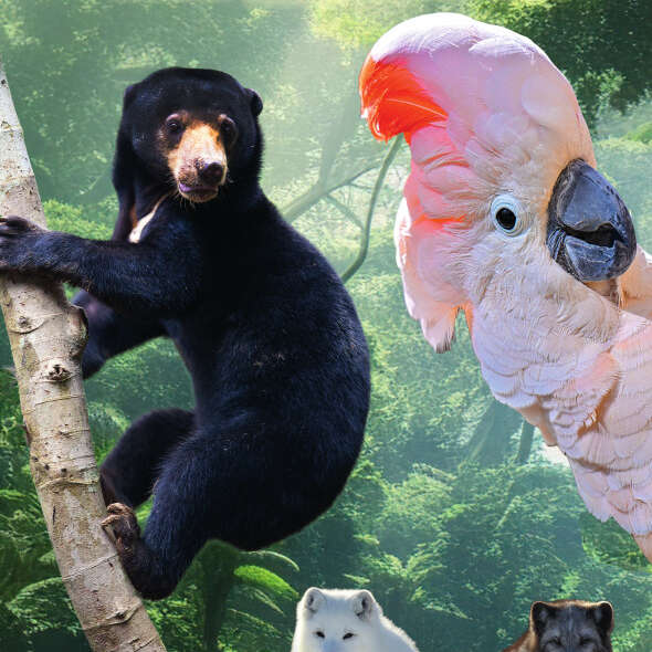 Zooparc de Trégomeur