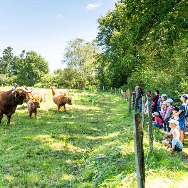 Chasse au trésor de la Vallée du Léguer - Un trésor sous les sabots