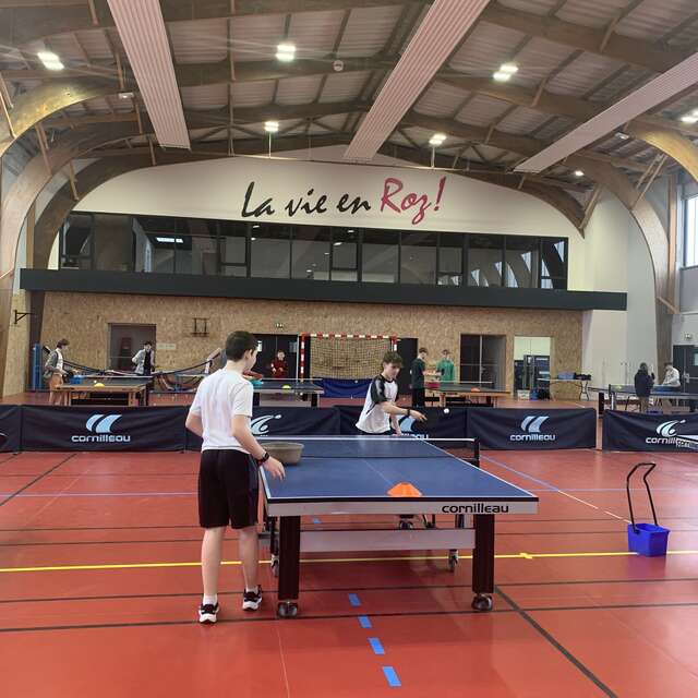 Tournoi de tennis de table