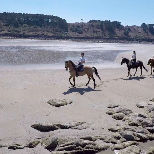 Lannion Equitation