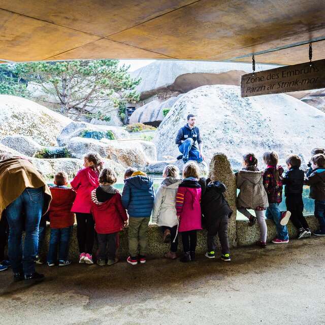 Visite guidée de l'Aquarium marin de Trégastel
