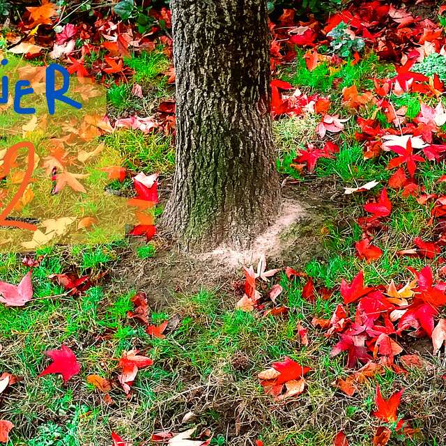 Atelier nature et découverte au verger de Crec'h Guegan