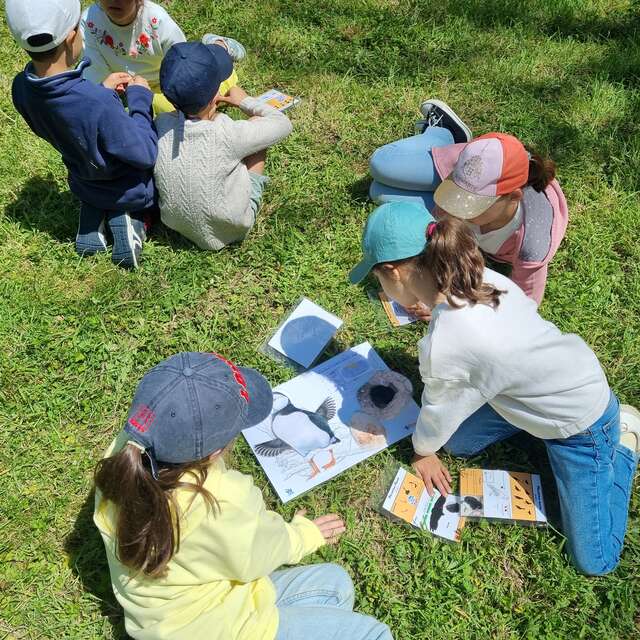 Activité enfant : Enfile tes plumes !