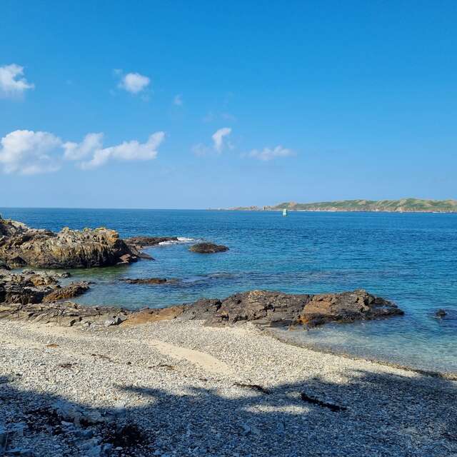 Activité enfant : Sur la piste du Trésor de Tomé !