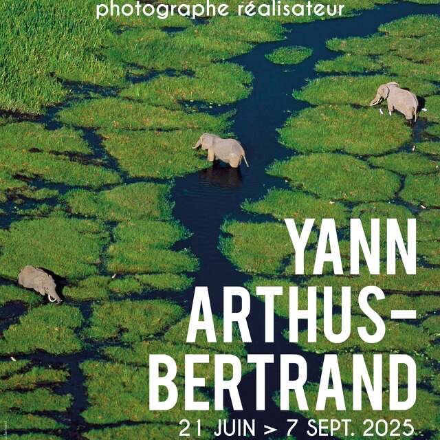 Exposition photos "Legacy, une vie de photographe réalisateur" de Yann Arthus-Bertrand