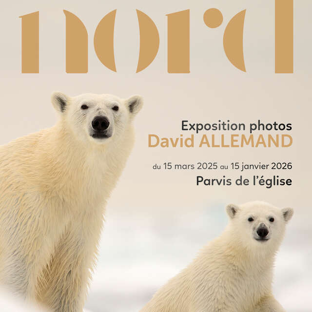 Exposition photos  "Chemins du nord"