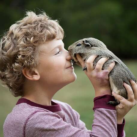 Biscuits party pour les petits animaux en famille