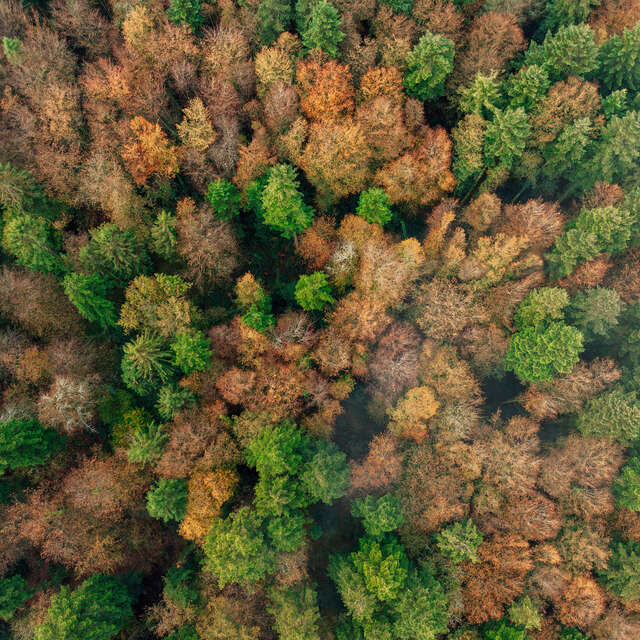 Le Pavé - Point culminant du Trégor
