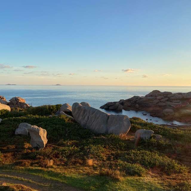 Balade nature : granit rose et biodiversité