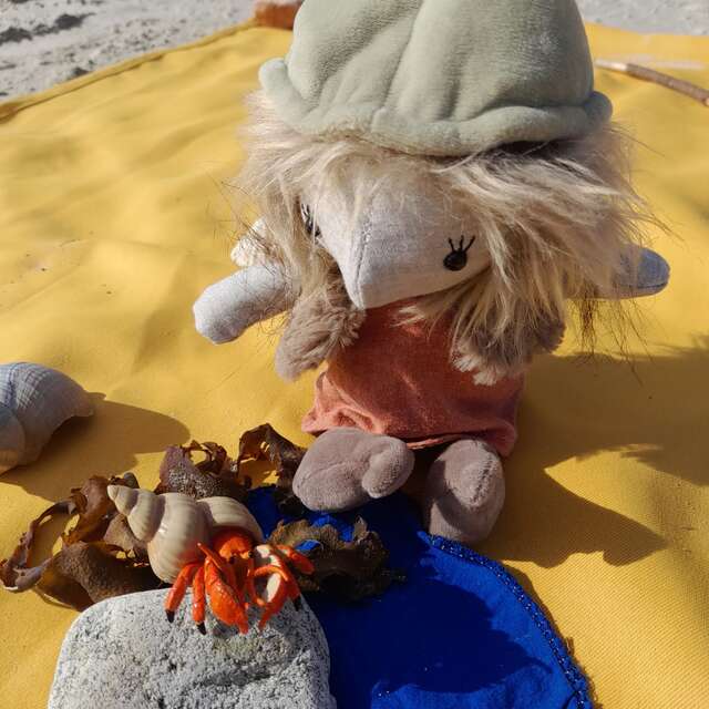 Boc'han, le petit korrigan des mers