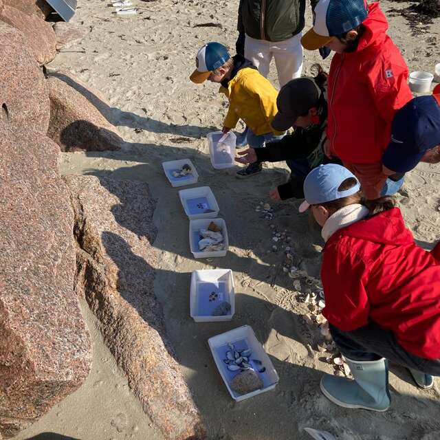 Boc'han et les habitants de la plage