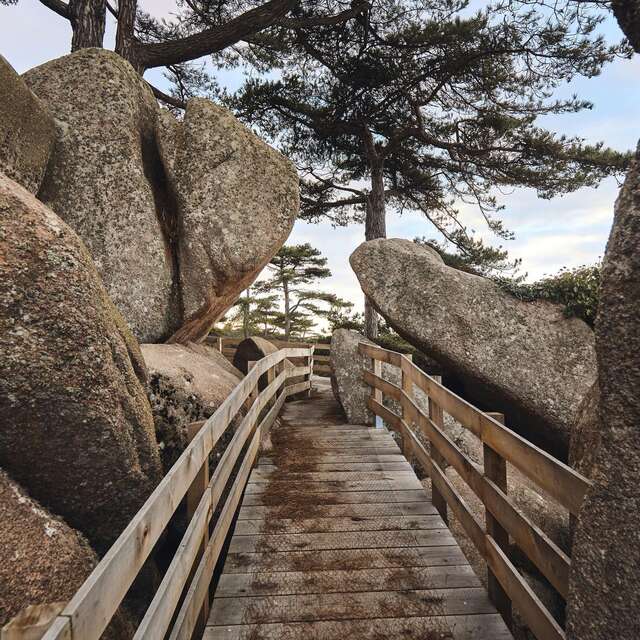 Le Castel, toute une histoire