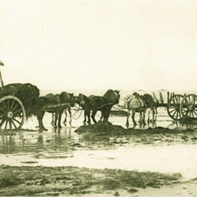 Patrimoine goémonier de la presqu'île