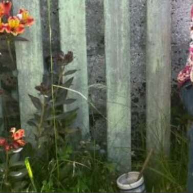 Marie Floury en chansons