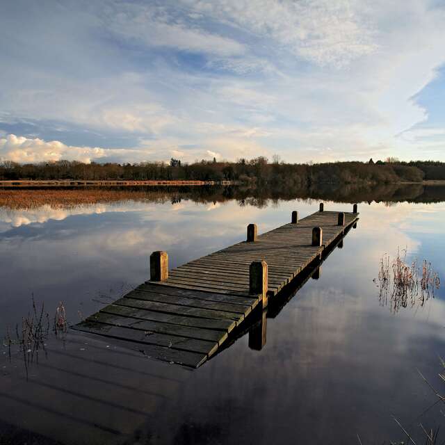 Journée mondiale des zones humides - Etrange rencontre au bord de l'eau