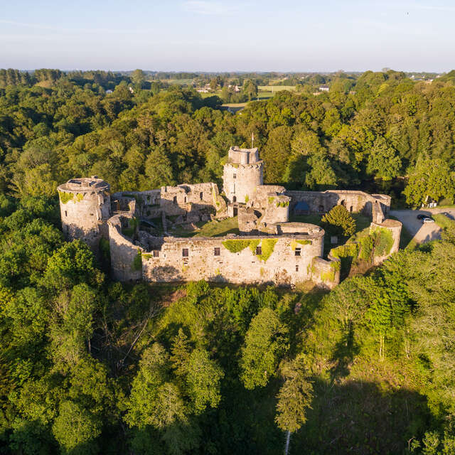 Les châteaux médiévaux en Bretagne : un millénaire
