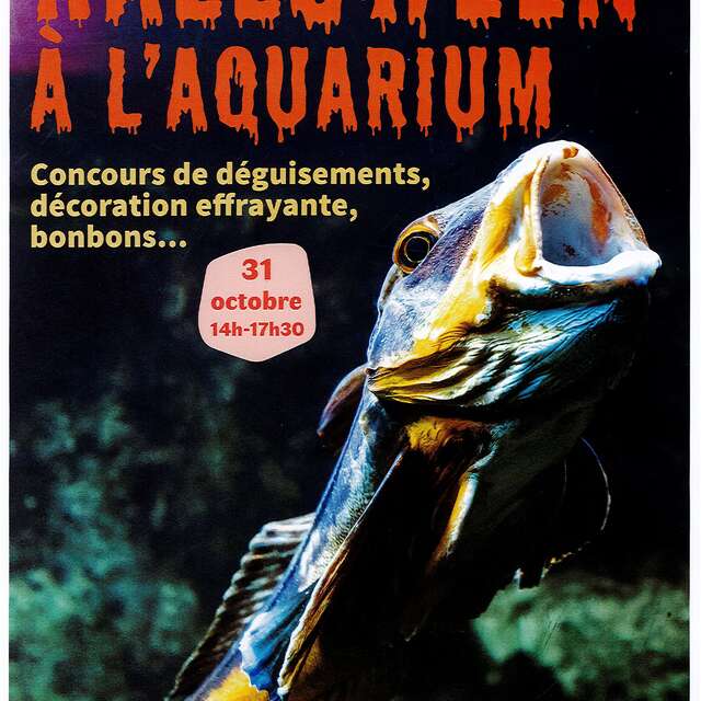 Halloween à l'Aquarium