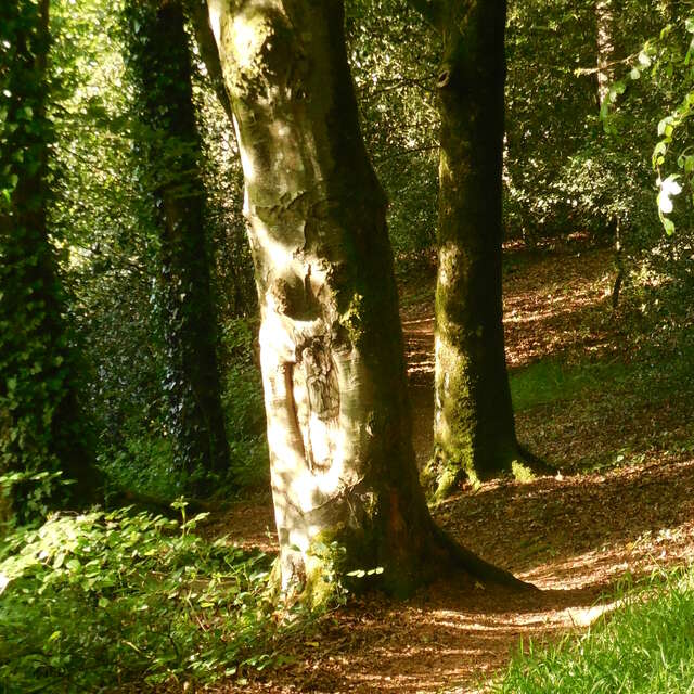 La vallée des papeteries