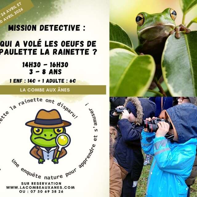 Qui a volé les œufs de Paulette la rainette ?