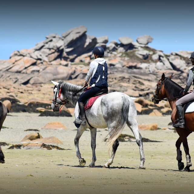 Equitation Saint Samson