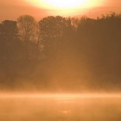 Autour de l'étang de Beffou