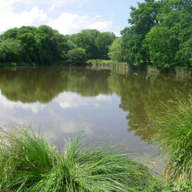 Parcours pêche de l'étang de Milin Saezh