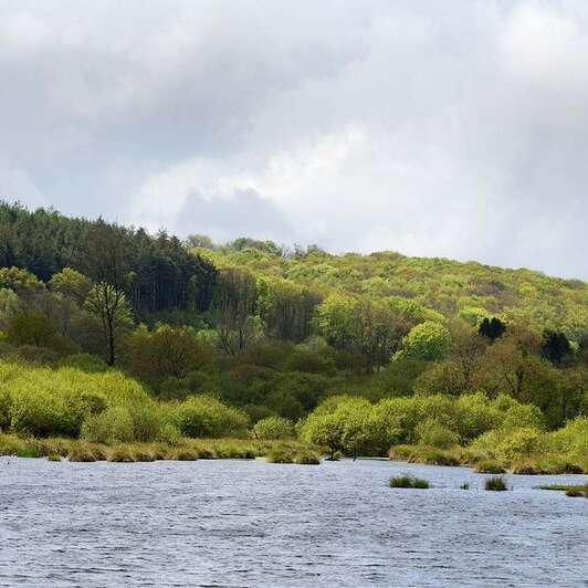 Parcours pêche de l'étang du Guic