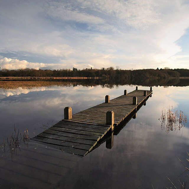 Parcours pêche de l'étang du Moulin Neuf