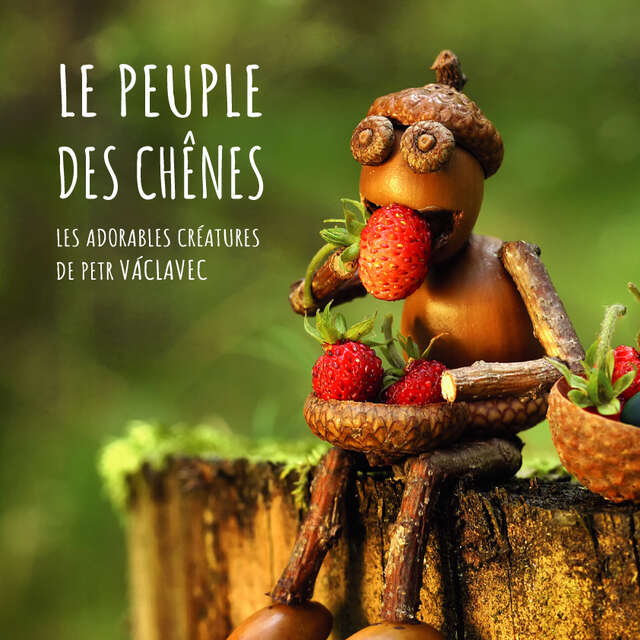 Le peuple des chênes, les adorables créatures de Petr Vaclavek - Créations artistiques - Léguer en fête