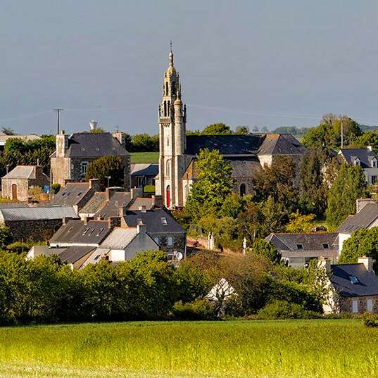 Balade de Logodenn-dall - La chauve-souris