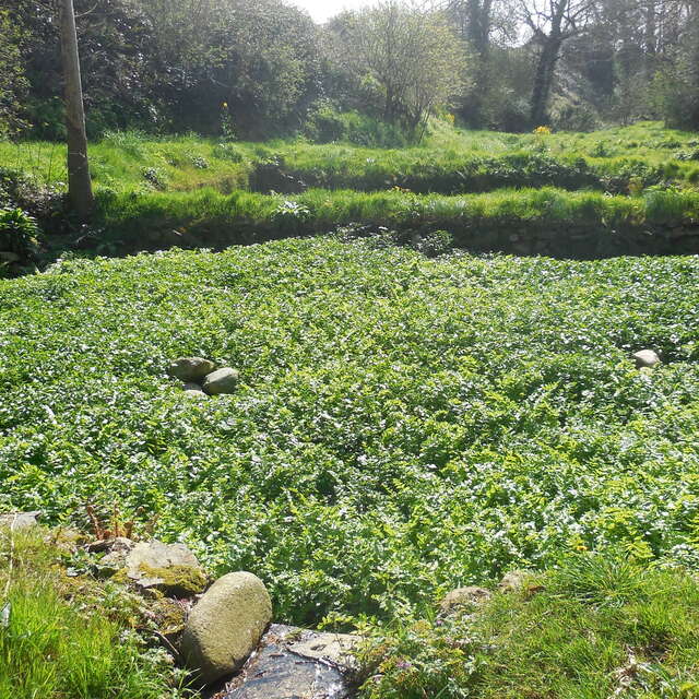 Boucle des 21 routoirs à lin