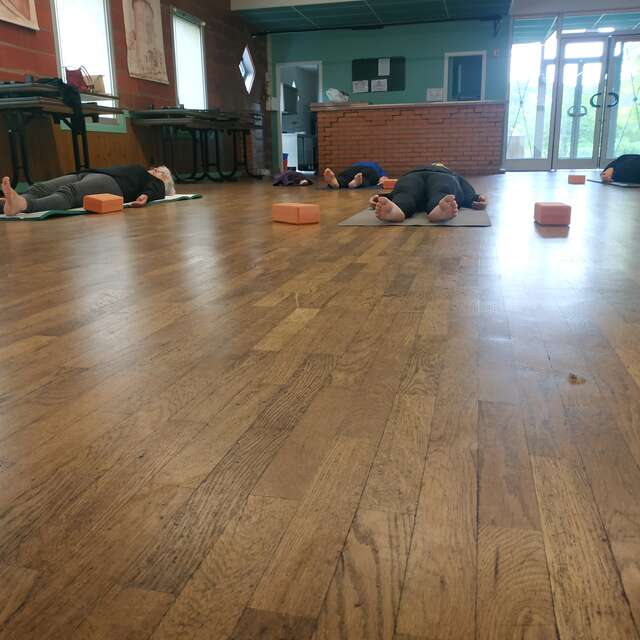 Hatha yoga et yoga-thérapie avec Camila Labaronne