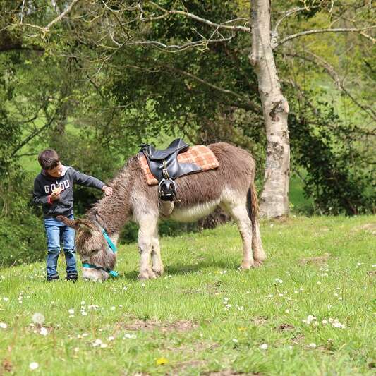 Avec mon âne, je pars planter mon pommier